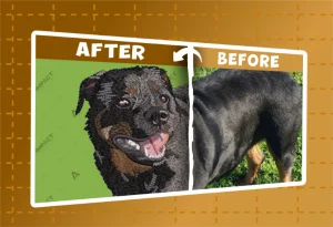 IMPACT DIGITIZING BEFORE AFTER (11)