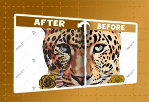 IMPACT DIGITIZING BEFORE AFTER (17)