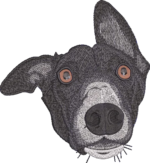 DOGS (6)