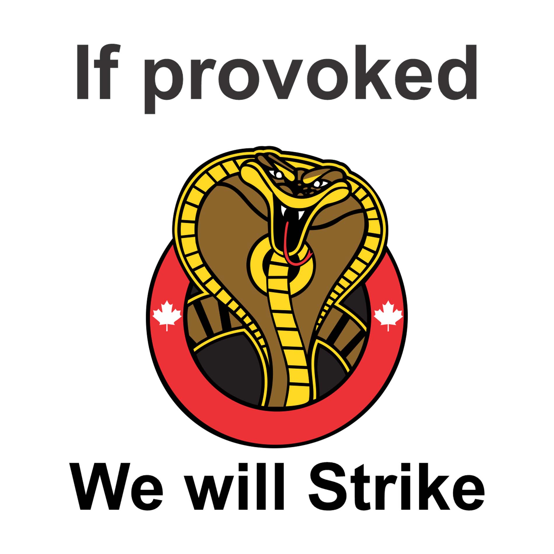 Provoked we will strike copy